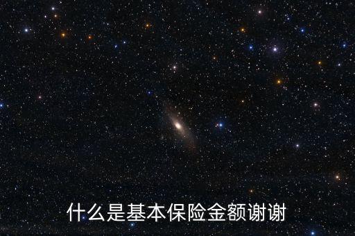 什么叫基本保險金額，基本保險金額是什么意思
