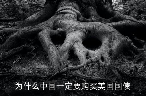 中國為什么買美國的國債，中國為什么要買那么多美國國債能不能說得通俗一點我不太懂經(jīng)濟(jì)