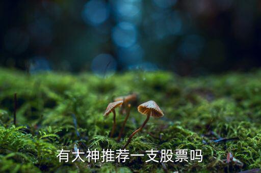 申萬宏源能購買什么股票，有大神推薦一支股票嗎