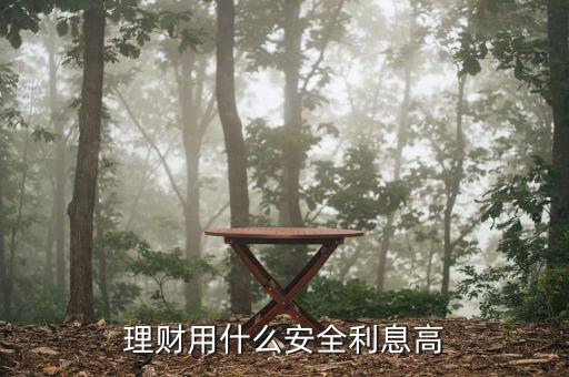什么理財(cái)方式最安全利息高，理財(cái)用什么安全利息高