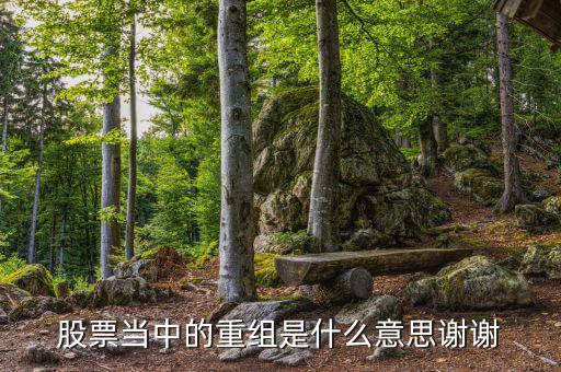 什么是重組，重組在電腦術(shù)語(yǔ)中什么意思