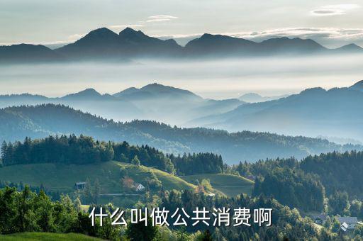 什么是公共消費，什么叫做公共消費啊