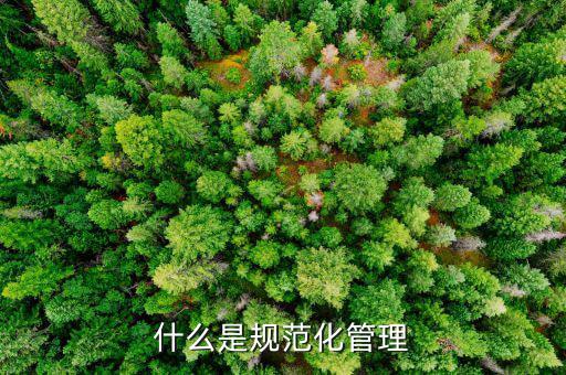 什么是定制化管理，什么是制化管理