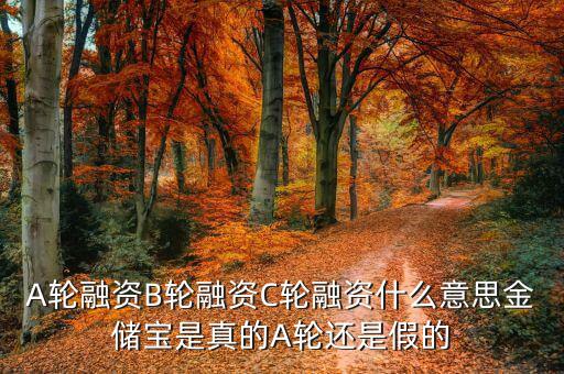 幾輪融資是什么意思，A輪融資B輪融資是什么意思