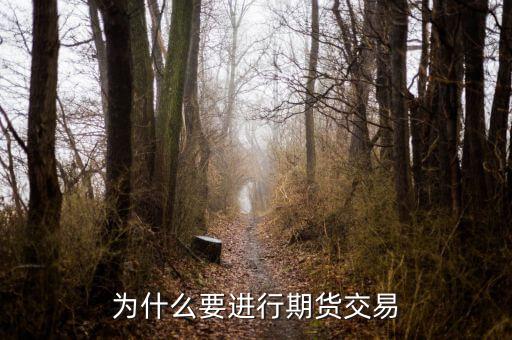 為什么國(guó)內(nèi)期貨，為什么要做期貨投資
