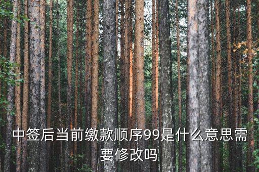 繳款順序99是什么意思，99是什么意思