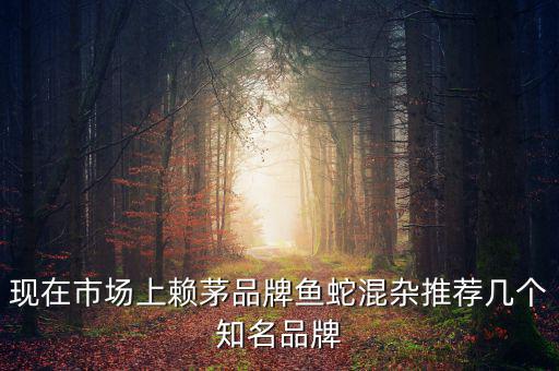 賴茅酒牌子為什么亂，現(xiàn)在市場(chǎng)上賴茅品牌魚蛇混雜推薦幾個(gè)知名品牌