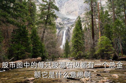 股市圖每只股票的總量是什么意思，股票總量是什么意思