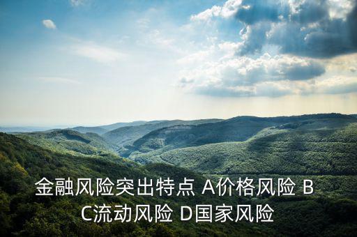 金融風(fēng)險有什么特征，試述國際金融風(fēng)險的特征