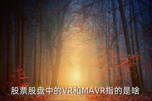 vr股是什么，股票股盤中的VR和MAVR指的是啥