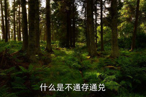 不通存通兌是什么意思，什么是不通存通兌