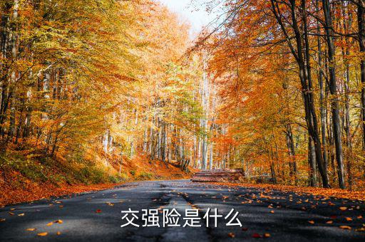 什么是交強險，交強險是什么