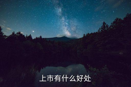 上市有什么好處，上市公司有什么好處