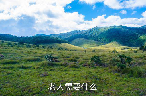 老百姓需要什么，老人需要什么