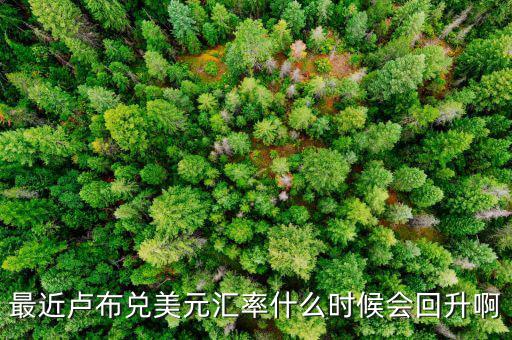 盧布什么時(shí)候能回升，最近盧布兌美元匯率什么時(shí)候會(huì)回升啊