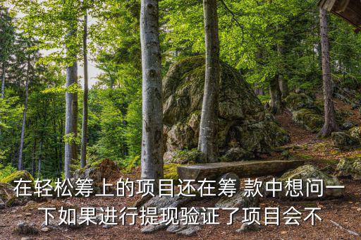 輕松籌提現(xiàn)有什么審核，輕松籌審核條件
