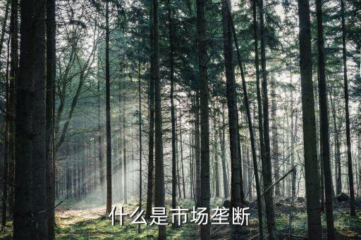 什么算壟斷，什么是經(jīng)濟(jì)壟斷