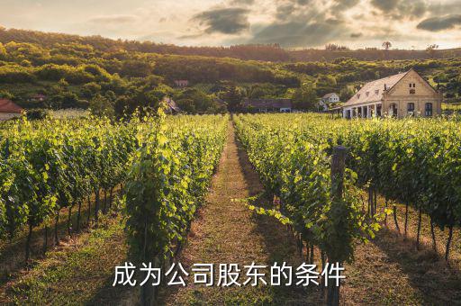 控股股東需要什么條件，如何成為控股股東呀