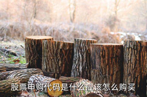 股票申購(gòu)代碼是什么應(yīng)該怎么購(gòu)買(mǎi)