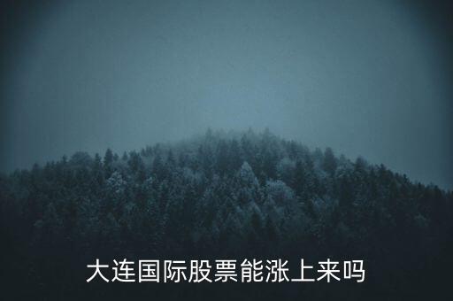 大連國際什么時候漲，大連國際股票能漲上來嗎