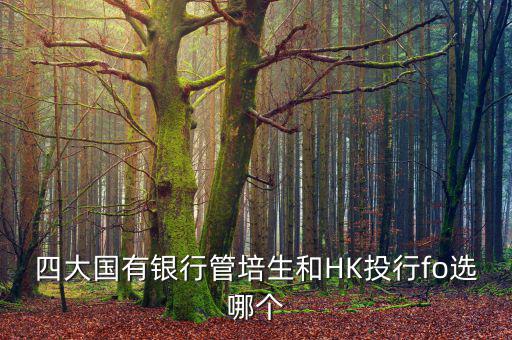 四大去投行有什么優(yōu)勢(shì)，女 研究生畢業(yè)想進(jìn)投行 考研想考北大 清華 復(fù)旦或者香港大學(xué) 請(qǐng)問這四