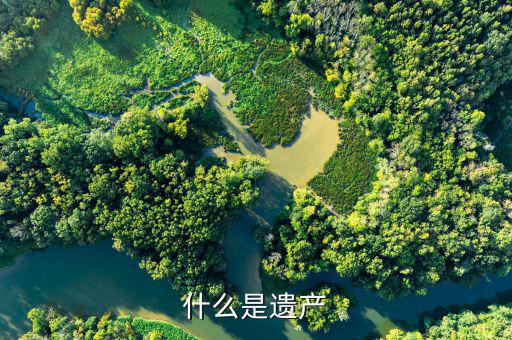 什么是遺產(chǎn)股，什么算是遺產(chǎn)