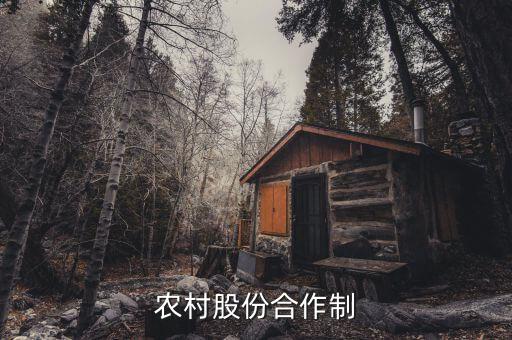 什么是農(nóng)民股份合作，什么叫農(nóng)村經(jīng)濟(jì)合作股份制