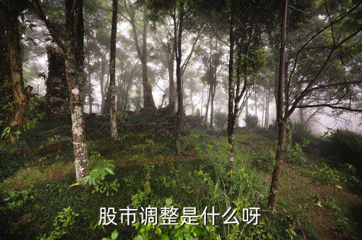 股市調(diào)整是什么意思，經(jīng)常有聽到股票調(diào)整是什么意思啊