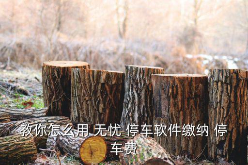 教你怎么用 無(wú)憂 停車(chē)軟件繳納 停車(chē)費(fèi)