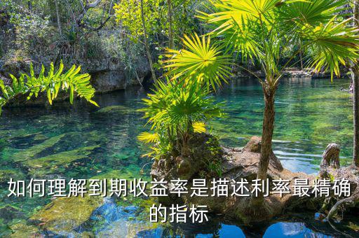衡量利率最精確的指標(biāo)通常是什么，什么是一個(gè)很好的債券利率風(fēng)險(xiǎn)衡量指標(biāo)