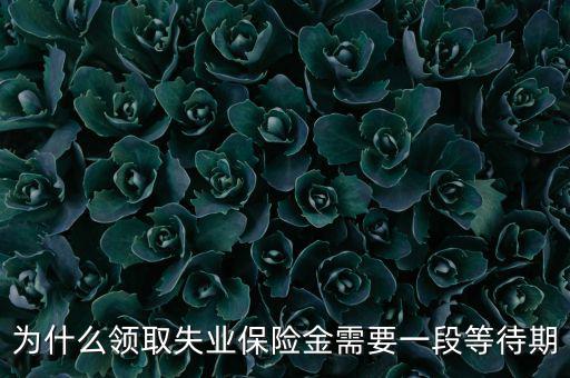 失業(yè)保險為什么應設等待期限，為什么領取失業(yè)保險金需要一段等待期