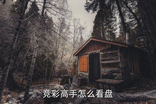 高手看盤看什么，想問一些那些股林高手們你們一般是怎么選擇買股票的主要看什么