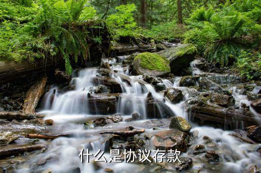 什么是銀行協(xié)議存款，什么是銀行協(xié)定存款