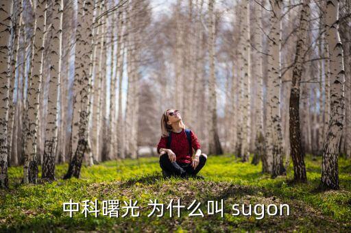 2014中科曙光什么時候上市的，股票為什么要選中科曙光
