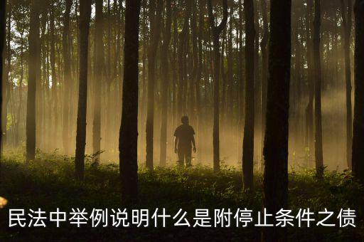 附停止條件的合同是什么意思，請(qǐng)教一下 怎么理解附條件和附期限合同啊 最好舉個(gè)例子 萬分感謝  搜