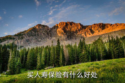人壽保險(xiǎn)有什么好處，人壽保險(xiǎn)到底有何作用