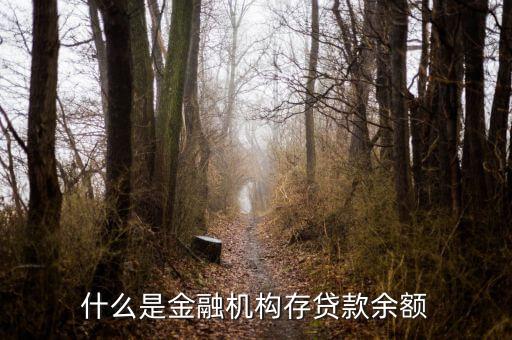 什么是金融機構存貸款余額