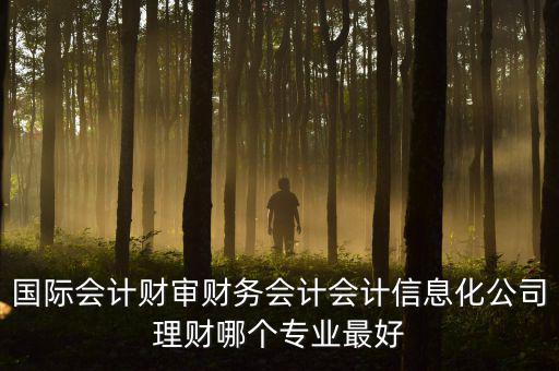 國際會計(jì)財(cái)審財(cái)務(wù)會計(jì)會計(jì)信息化公司理財(cái)哪個(gè)專業(yè)最好