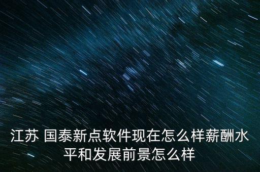江蘇 國泰新點軟件現在怎么樣薪酬水平和發(fā)展前景怎么樣
