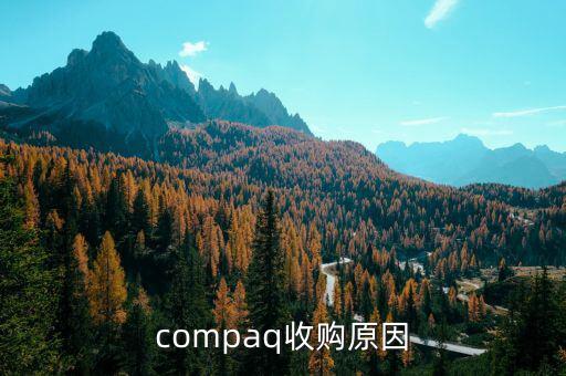 泰一指尚為什么被收購，compaq收購原因