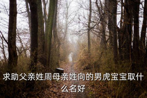 威靈老總周向陽(yáng)為什么辭職，浙江衢州有個(gè)叫周向陽(yáng)的人嗎