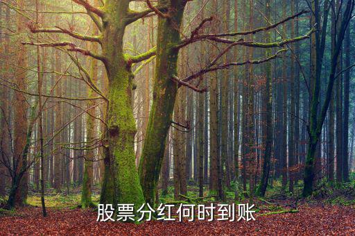 分紅什么時候到賬，分紅的金額什么時候會到賬戶