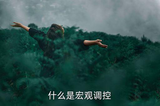 宏觀調(diào)控的定義是什么，怎么理解宏觀調(diào)控