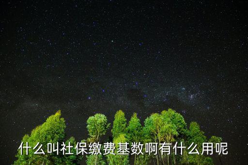 社保繳費(fèi)基數(shù)有什么用，什么叫社保繳費(fèi)基數(shù)啊有什么用呢
