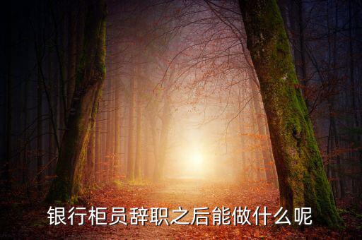 銀行辭職后做什么，銀行柜員辭職之后能做什么呢
