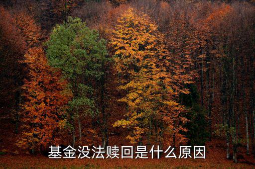 為什么基金不能贖回，為什么我的基金不能贖回