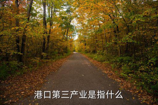 什么是第三產(chǎn)業(yè)，港口第三產(chǎn)業(yè)是指什么