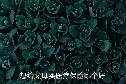 給父母買什么醫(yī)療保險好，想給父母買醫(yī)療保險哪個好