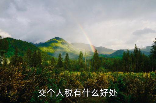 個人納稅有什么好處，交個人稅有什么好處