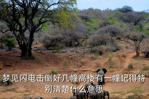 什么是閃電崩盤，a mini flash crash什么意思